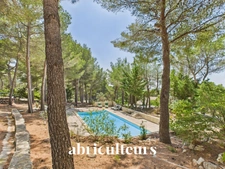Maison d’architecte de 256 m² avec piscine et jardin arboré de 4 000 m²