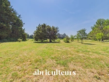 Mas provençal de 310 m² avec piscine et parc arboré de 7 880 m² — PNR des Alpilles