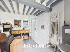 Calme absolu dans cette maison de charme bucolique rénovée de 250m² à Vert le Grand (91810)