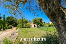 Authentique - Mas Provençal - 350m² - Cheval-Blanc