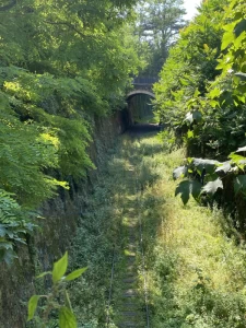 Balade le long de la Bièvre