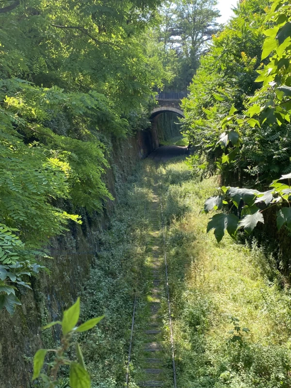 Balade le long de la Bièvre