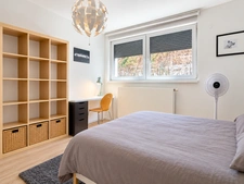 Maison d'architecte Robertsau