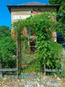 Maison de caractère 3 chambres avec jardin au coeur d'un vill 1