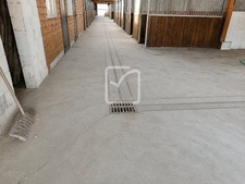 RARE   PROPRIÉTÉ ÉQUESTRE PRÈS DE VILLERÉAL   20 HA   25 BOX 29