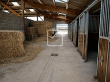RARE   PROPRIÉTÉ ÉQUESTRE PRÈS DE VILLERÉAL   20 HA   25 BOX 28
