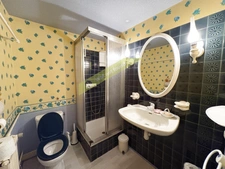 MAISON AVEC PISCINE ET JARDIN ARBORE QUARTIER CALME ET JOLIE 10