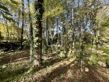Maison en pierre de 190 m2 et dépendances 14