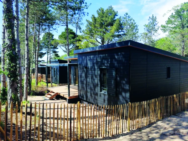 Découvrez l'Édune !