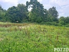 Terrain