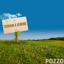 Terrain