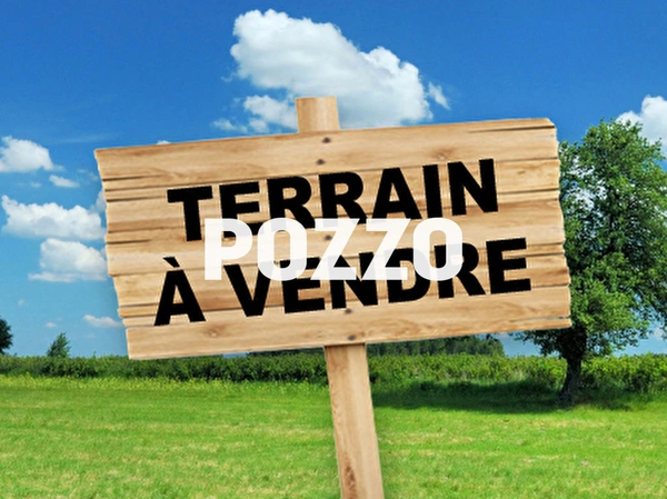 Terrain
