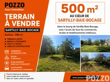 Terrain