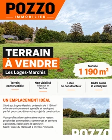 Terrain