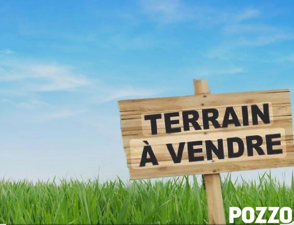 Terrain