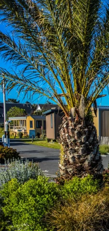 Louer ou acheter votre mobil-home pour les vacances !