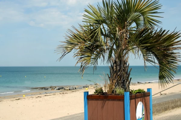 À la découverte de la Pointe du Lude : entre mer et histoire
