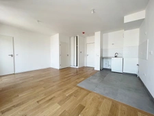 LEVALLOIS - 2 PIECES 1