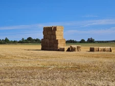 Messigny-et-vantoux et Nord dijonnais-2