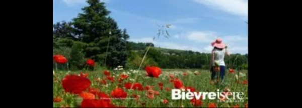 BEAUCROISSANT et les communes de BIEVRE EST