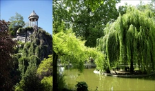LAUMIERE - BUTTES CHAUMONT  PARIS 19 1