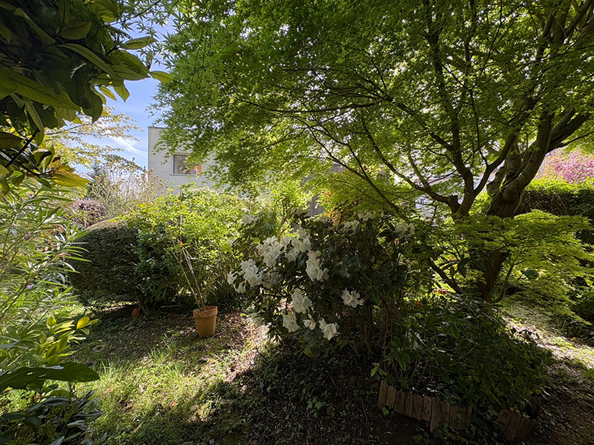 Maison Meudon / Plein centre 9