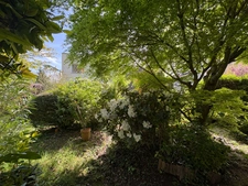 Maison Meudon / Plein centre 9