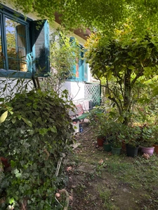 Maison Meudon / Plein centre 4