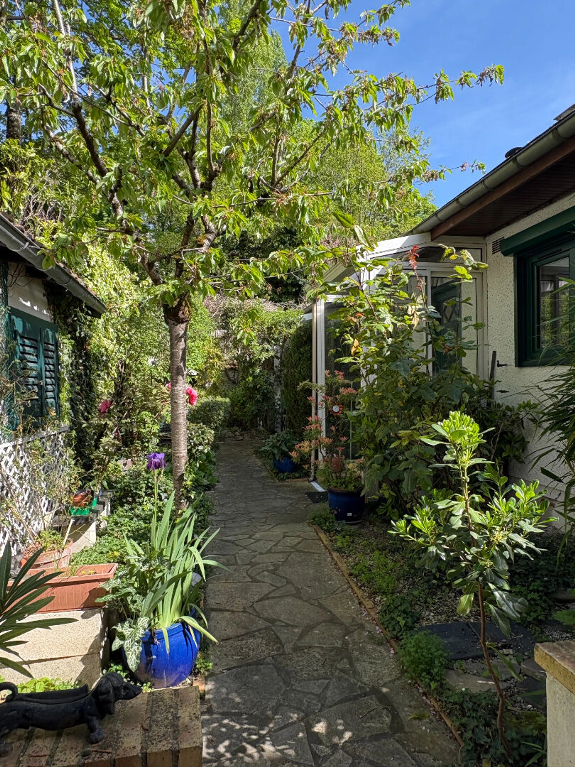 Maison Meudon / Plein centre 2