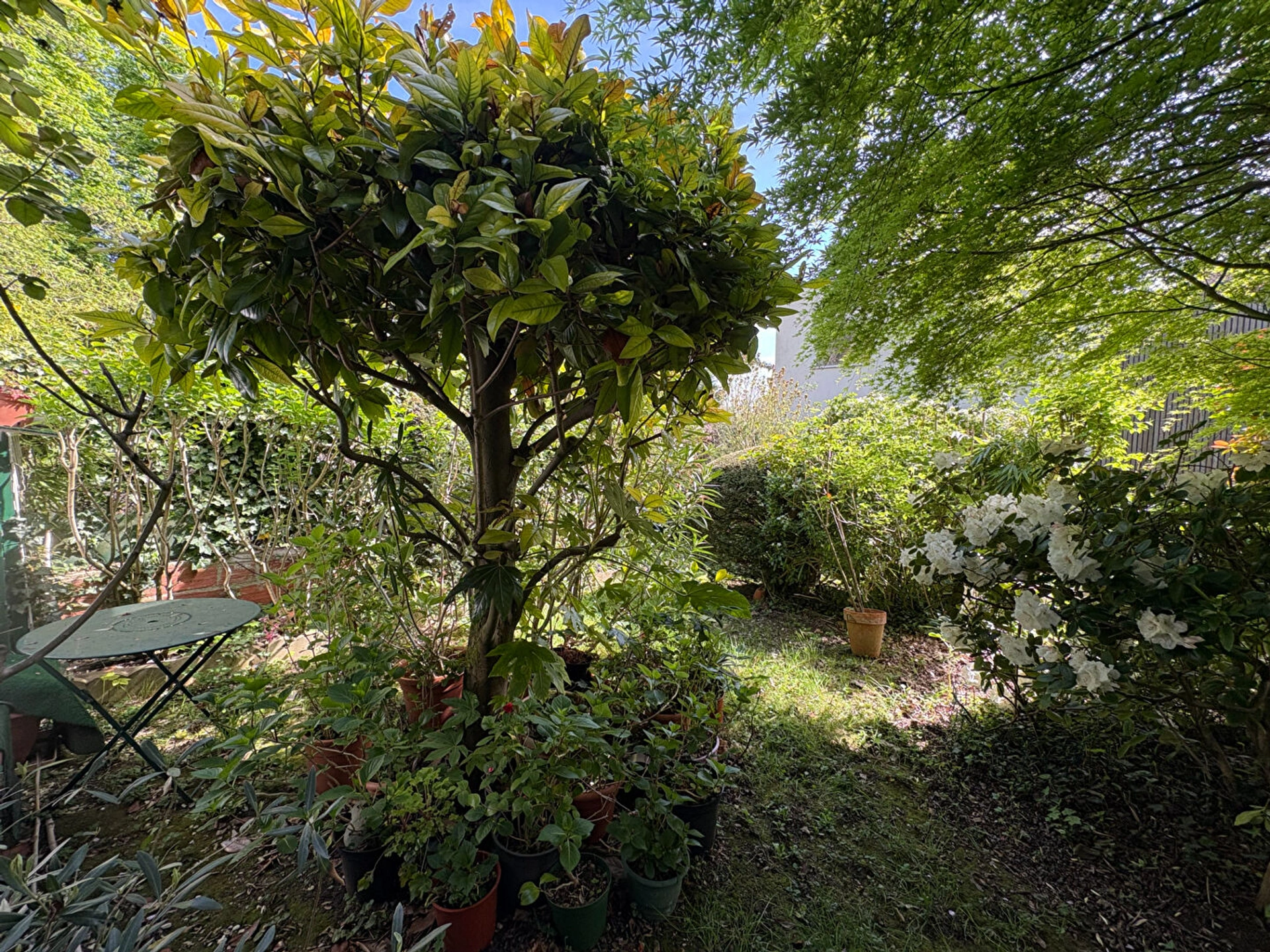 Maison Meudon / Plein centre 10