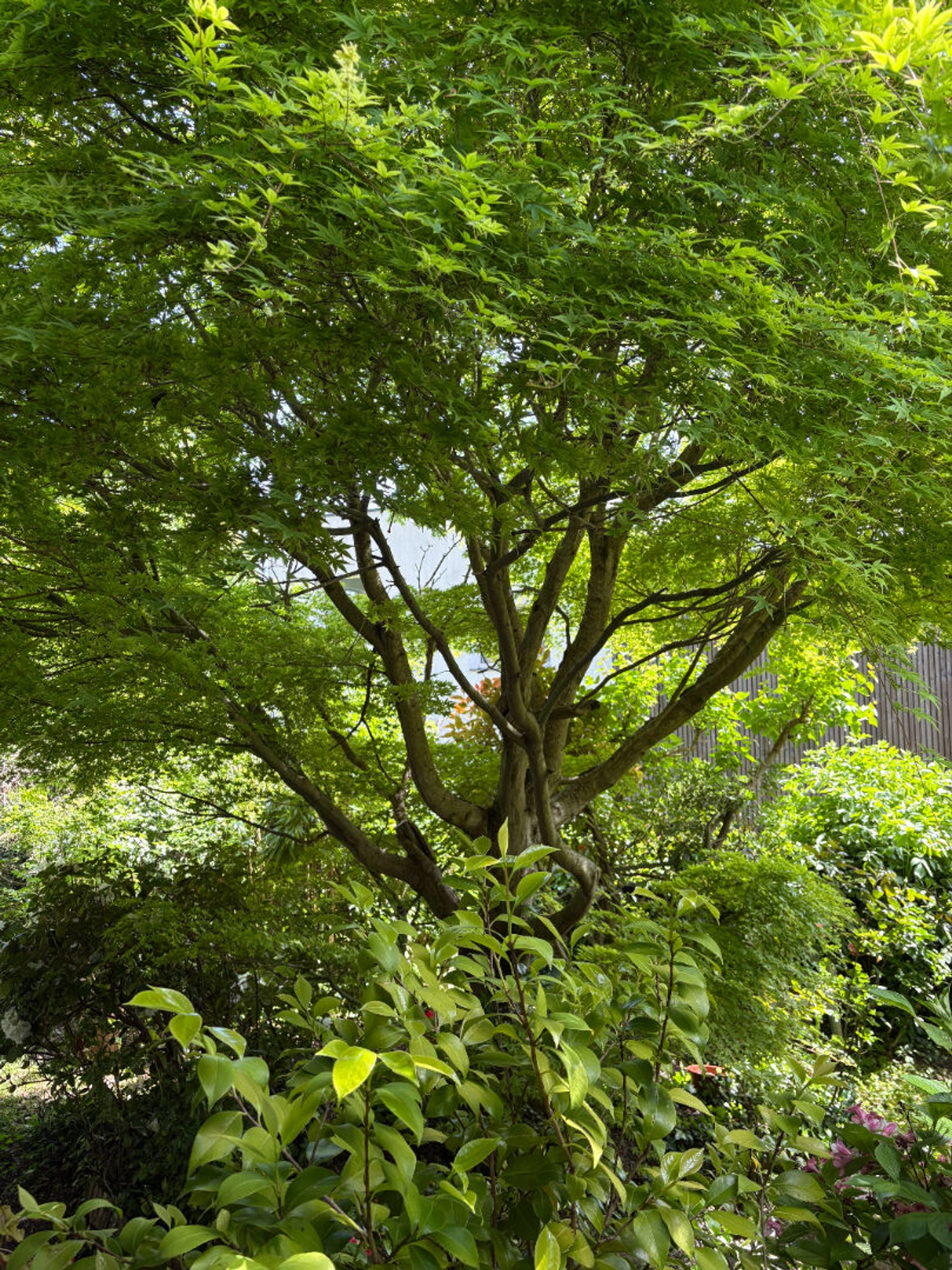 Maison Meudon / Plein centre 11