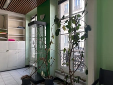 Appartement- Paris 2 ème 2