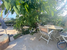 Villa d'Exception aux Sablettes   Vue Mer & Cadre Unique