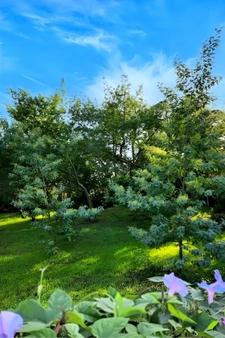 Coup de Coeur pour Boyardville, maison lumineuse sur beau te