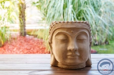 Beau Duplex avec cour et jardin privatifs