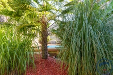 Beau Duplex avec cour et jardin privatifs