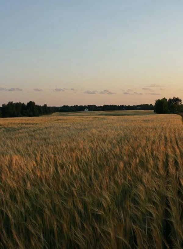 QUELLES SONT LES ÉTAPES POUR VENDRE EN BONNE ET DUE FORME UN TERRAIN À CASTELNAU-LE-LEZ ?