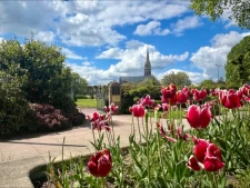 Cesson-Sévigné ⎟Bourgchevreuil-1