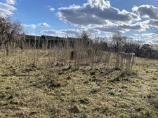 A vendre : terrain plat à Mouriès 850m2