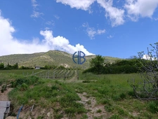 MAISON AVEC GARAGES de  195 M2  sur parcelle de 5172 m2