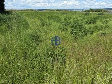 VIRIVILLE - Terrain constructible 1581 m² -  Secteur calme