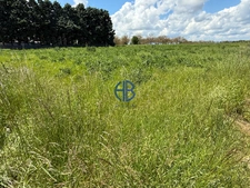 VIRIVILLE - Terrain constructible 1581 m² -  Secteur calme