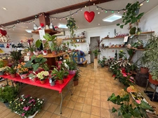 Fonds de commerce Saint Simeon De Bressieux 60 m2