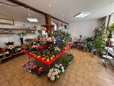 Fonds de commerce Saint Simeon De Bressieux 60 m2