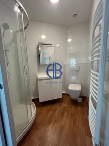 Appartement Renage 4 pièce(s) 108 m2 + jardin + place privative