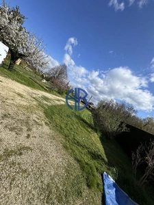 maison individuelle de1964  sur un  terrain plat constructible de 1168 m²