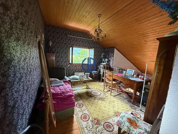 Chalet  de 113 m2 + sous-sol sur 7500m2 de terrain.