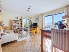 Appartement rénové, lumineux et cosy, avec vue exceptionnell...