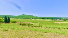 domaine viticole confidentiel au coeur de l'AOP Cahors, avec  7