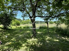 Propriété de caractère avec vaste maison 'pierre' et dépenda 14